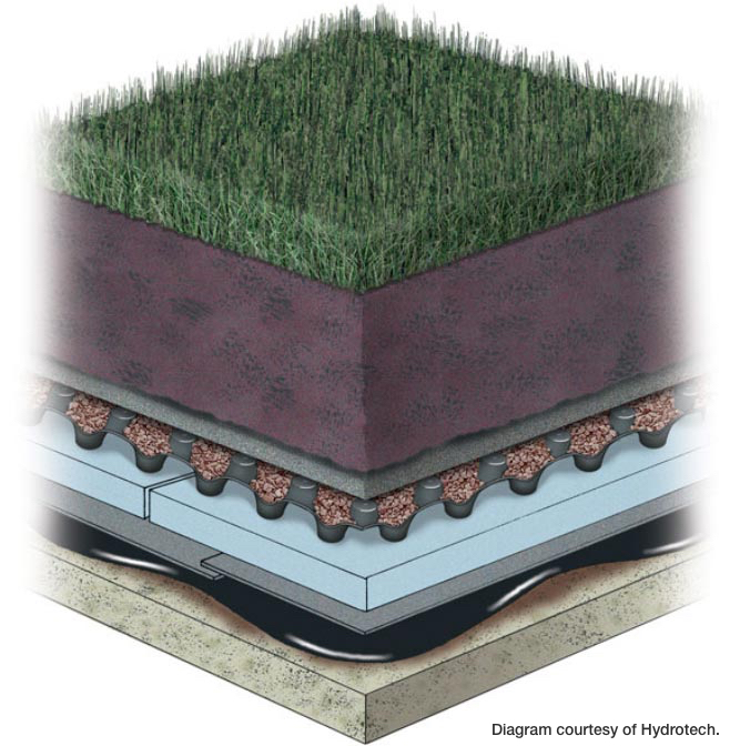 Green roof cutaway