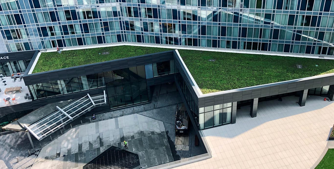 Green roof example