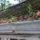 Steep slope roof with moss growth and gutters clogged with leaves and debris.