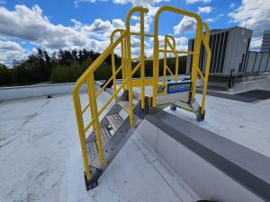 Erectastep crossover stairs